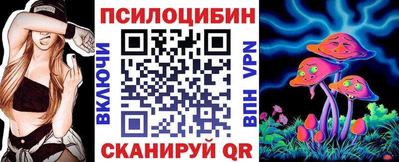 где купить наркоту  Ангарск  Псилоцибиновые грибы Psilocybe 